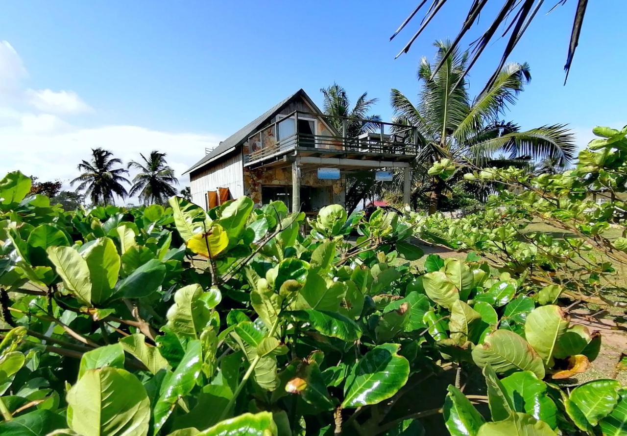 Afro Beach Eco Resort Butre Εξωτερικό φωτογραφία
