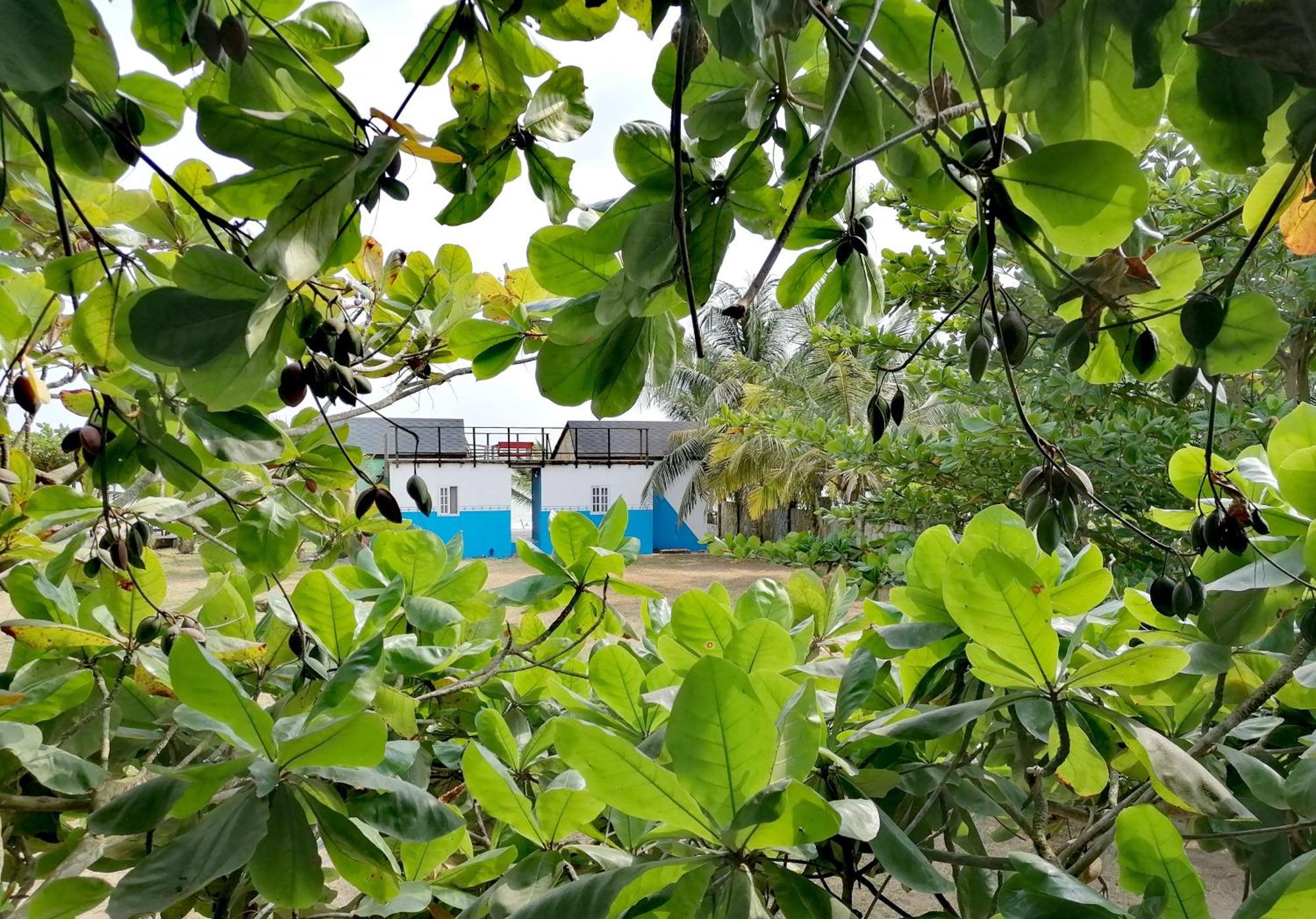 Afro Beach Eco Resort Butre Δωμάτιο φωτογραφία